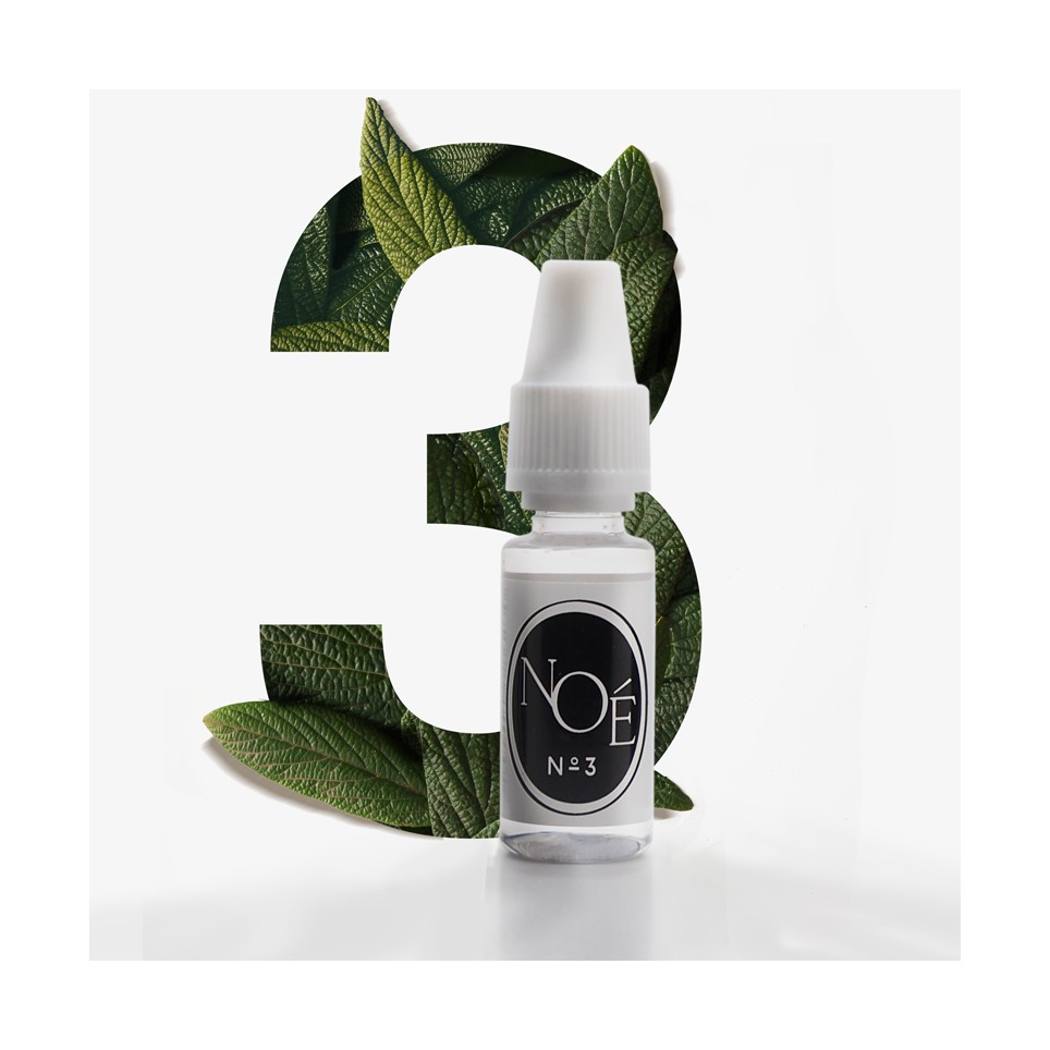 chargement de l'image